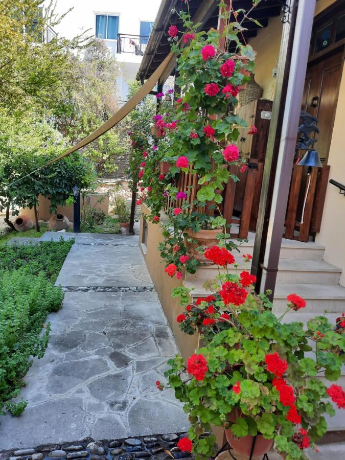 Vasilion Agrotourism Polis Exterior foto