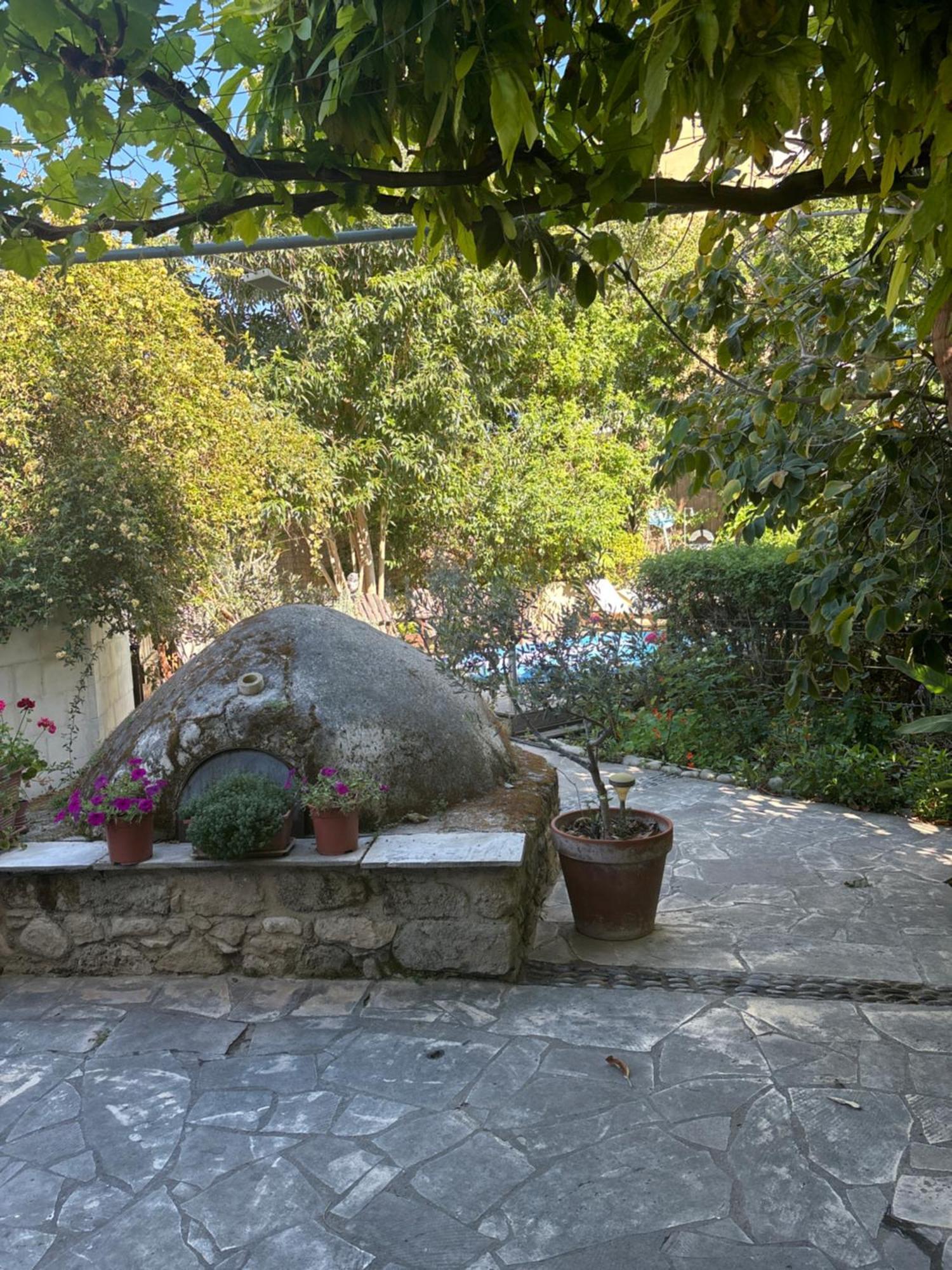 Vasilion Agrotourism Polis Exterior foto