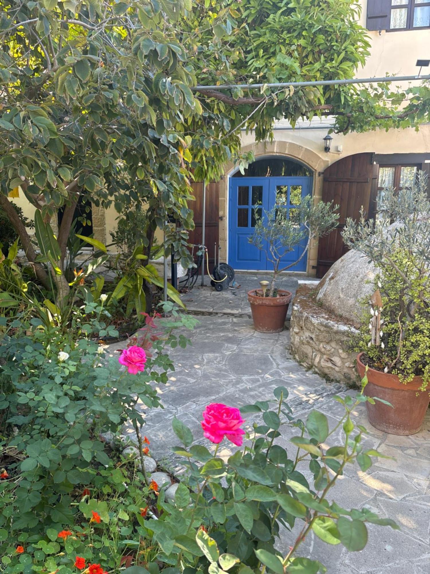 Vasilion Agrotourism Polis Exterior foto