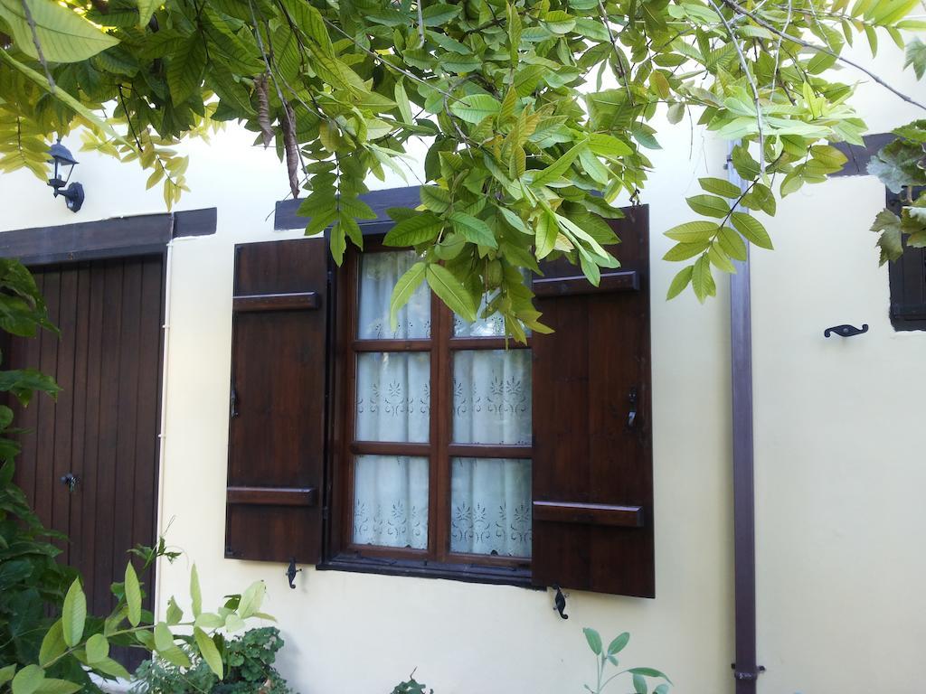 Vasilion Agrotourism Polis Quarto foto