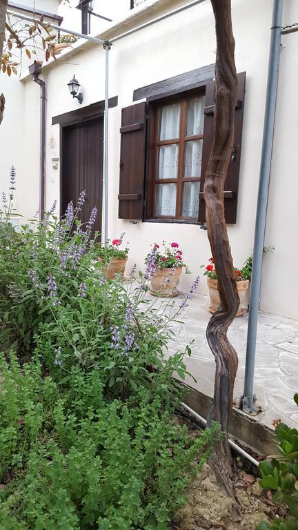 Vasilion Agrotourism Polis Exterior foto