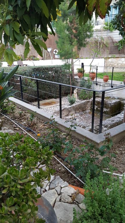 Vasilion Agrotourism Polis Exterior foto